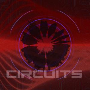 Circuits