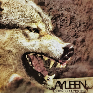 The End Of The Chapter