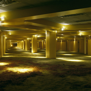 Backrooms