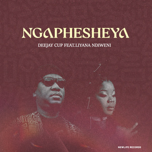 Ngaphesheya