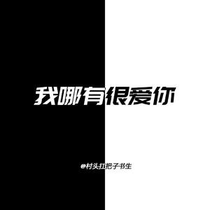 我哪有很爱你