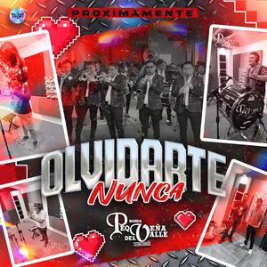 OLVIDARTE NUNCA