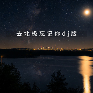 去北极忘记你dj版