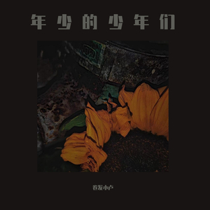 我们已不再年轻