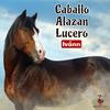 Ivann - Caballo Alazan Lucero