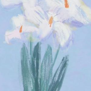 我顺手摘了一束花（prod. by lei boy）