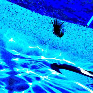 Is that a crab? (feat. Anosmia)