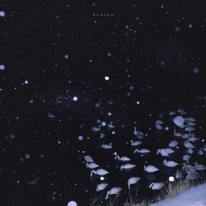 夏夜最后的烟火（翻自北岛春渡）