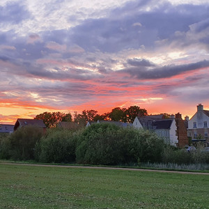 Брови Реснички