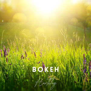 Bokeh