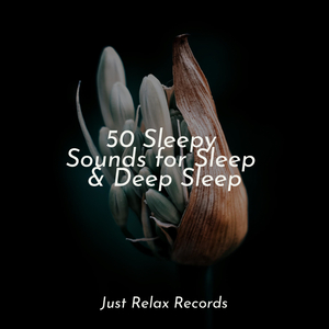 Glistening Veil of Wonder