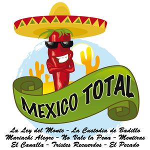 Ahí Viene el Mariachi