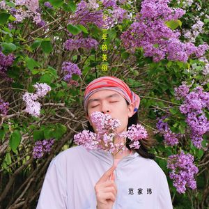 十二年的美丽（From forever to forever）