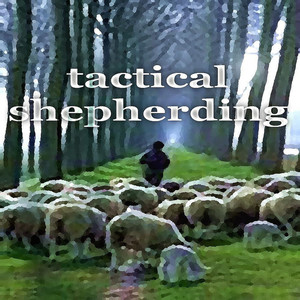 Tactical Shepherding (Bitfiend Electro Breaks Mix)