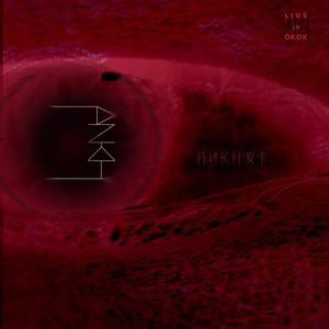 成功人类 Successful People (现场)