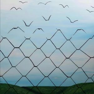 Echoes From Memories