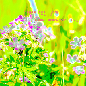 음악이 있는 곳에