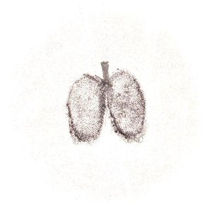 Lungs