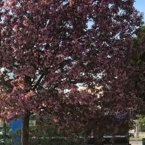 你要离开的一些时候