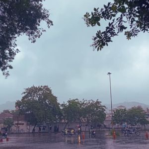Chuva no Telhado