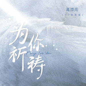 为你祈祷 (DJ魅音版伴奏)
