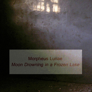 Moon Drowning in a Frozen Lake