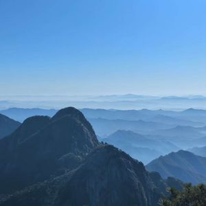 菩提酒仙-心若菩提