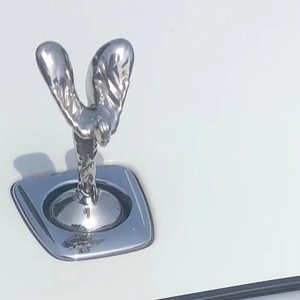 随笔(沉沦与遐想)