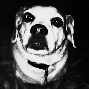 Timeline (Remastered)