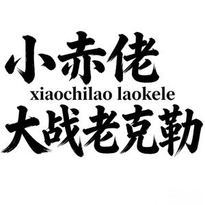 技能交换（积极老去行动）