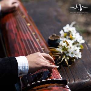 静修之路 (安神舒缓古琴曲)