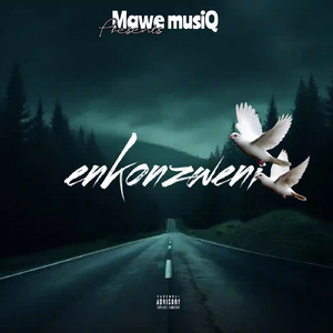 Enkonzweni