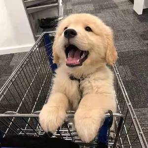 [Free] kill the game lil baby tape beat.