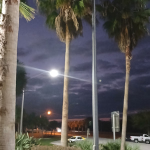 Mike Best Recordings and Distributte- CANrHATEmEuNEVrLOVme