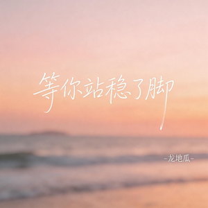 等你站稳了脚 （伤感版）