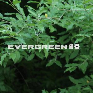 Evergreen