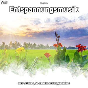 Entspannungsmusik, Pt. 69