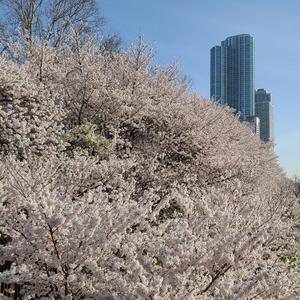 너만 착할 필요없어 PopRock