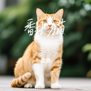 翻猫