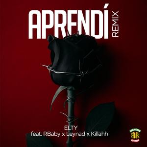 Aprendí (feat. RBaby, Leynad & Killahh) (Remix)