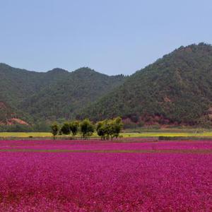 请把这封信读慢一点