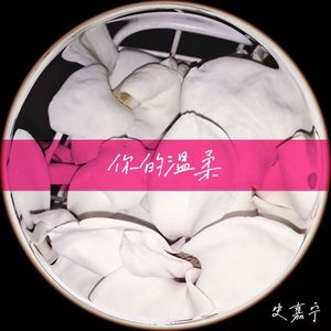 你的温柔