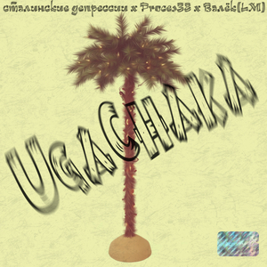 Ugachaka