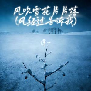 风吹雪花片片落 (风经过告诉我)