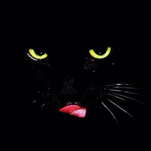 2021年7月14日记梦