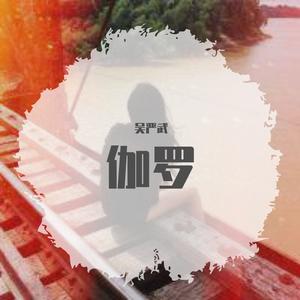 S.E.N.S.-伽罗（吴严武 remix）