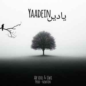 Yaadein