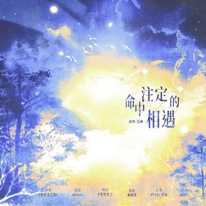 命中注定的相遇