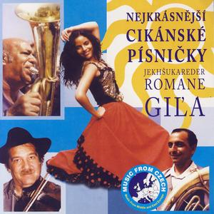 Cele Roky Te Hledam (I Am Lookin For You Years)