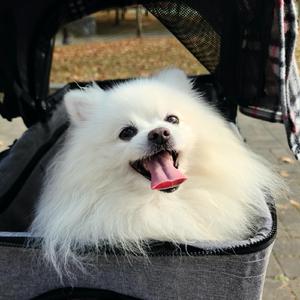 추억에 스며들어